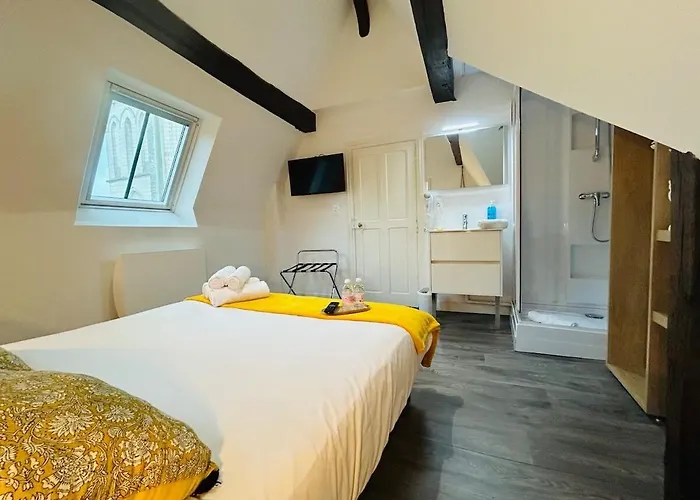 Casa Saint Joseph - Loft Premium Apartment Angers