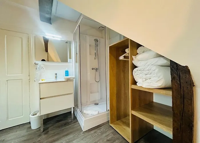 Casa Saint Joseph - Loft Premium Apartment Angers